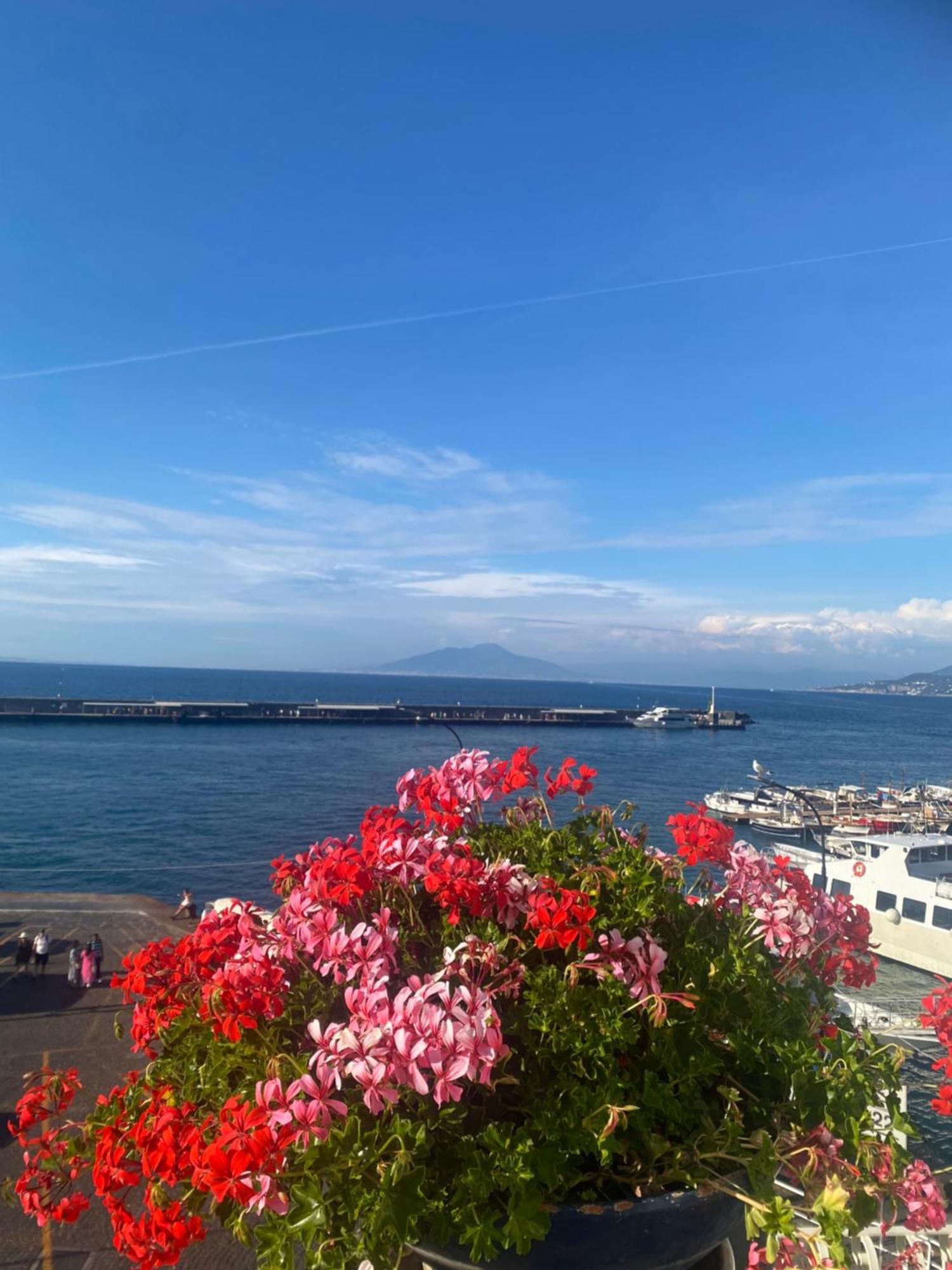 カプリLa Baia Di Napoliアパートメント エクステリア 写真