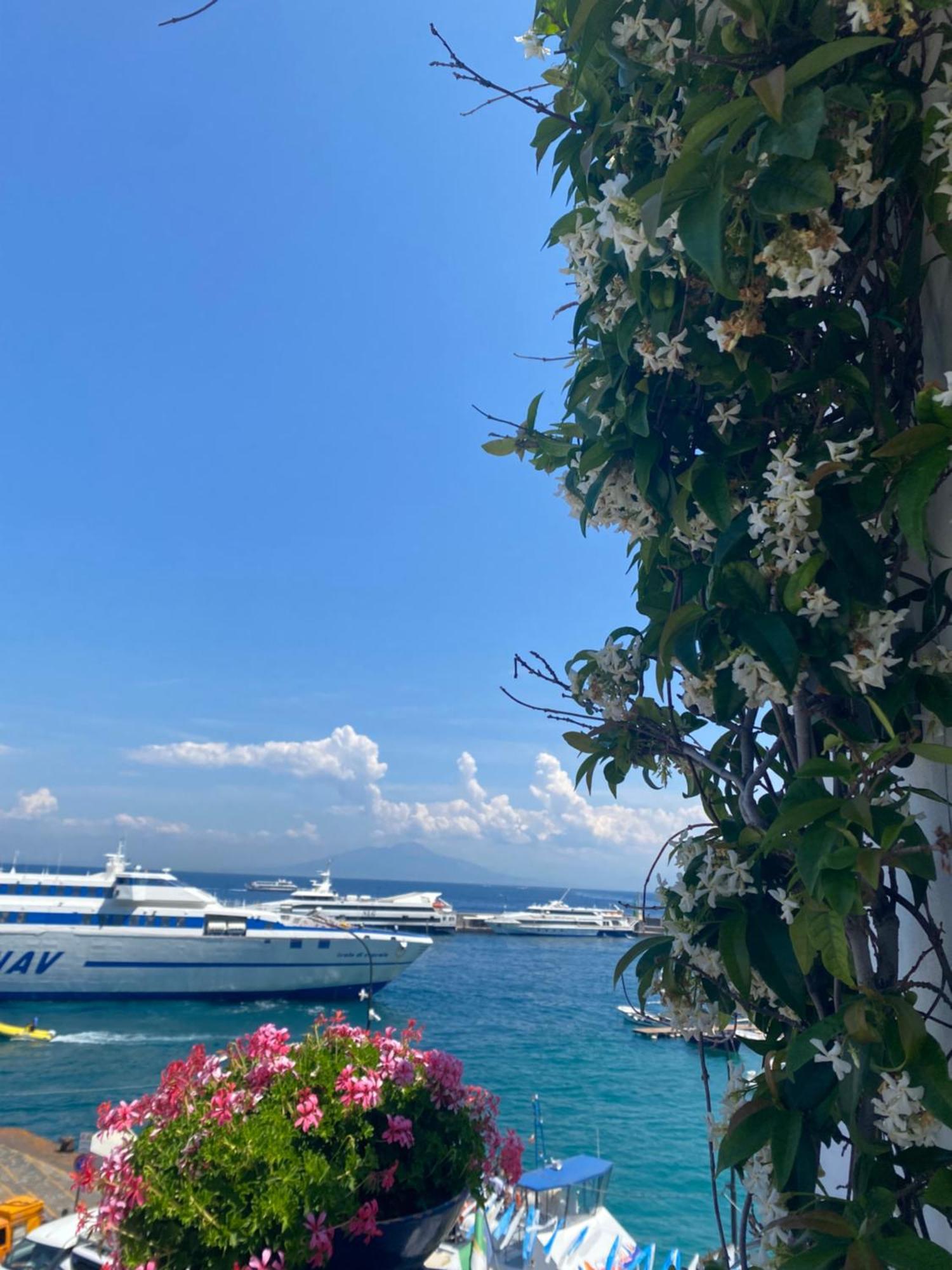 カプリLa Baia Di Napoliアパートメント エクステリア 写真